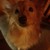 :iconsailormoonpluto: