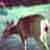 :iconsailoroftheseas: