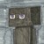 :iconsailorsenshi89: