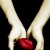 :iconsailorstarfighter: