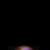 :iconsaint-augustine: