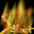 :iconsaint-tpai:
