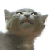 :iconsaint01: