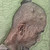 :iconsaintearl: