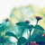 :iconsaintpatience: