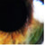 :iconsaioa12: