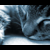 :iconsairustark: