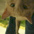 Saito07 :iconsaito07: