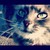 :iconsaix-puppy-7: