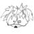 :iconsaji-san: