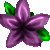 :iconsakeakane: