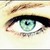 :iconsakexcamui: