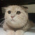 Sakkaphong :iconsakkaphong: