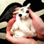 :iconsakotra: