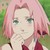:iconsaku-anbu: