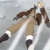 :iconsaku-hatake: