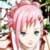 :iconsakura-chan13: