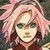 :iconsakura-chans19: