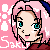 :iconsakura1964:
