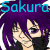 :iconsakura2133: