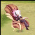 :iconsakura2210:
