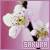 :iconsakura738: