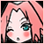 :iconsakura97-sama: