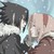 :iconsakuracho: