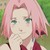 :iconsakuragirl555:
