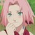 :iconsakuraharuno20012: