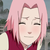 :iconsakuraharunoblushplz: