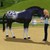 :iconsakurahills: