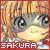 :iconSakuraKinomoto01: