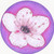 :iconsakuramangaxd: