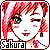:iconsakuramankai1: