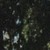 :iconsakuran02: