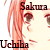 :iconsakurauchiha90:
