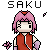 :iconsakusb:
