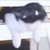 :iconsaladrex999: