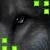 :iconsalamandra121: