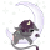 :iconsalaquin: