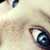 :iconsalayla-may: