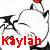 :iconsalaym: