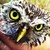 :iconsale19: