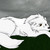 :iconsalem-rotaru: