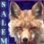 :iconsalemfuchs: