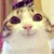 :iconsalemsaibot:
