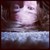 :iconsalkcin-drowsluos: