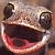 :iconsalliancex3: