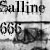 :iconsalline666: